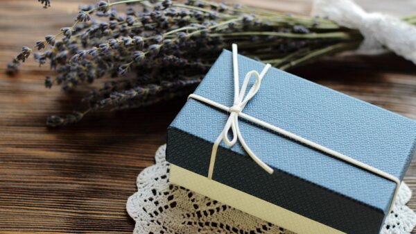 blue, flower background, bow, box, brown, celebration, christmas, craft, decoration, event, flower, for man, gift, lavender, love, flower wallpaper, male, napkin, happy birthday, present, ribbon, rustic, surprise, valentine, nature, beautiful flowers, vintage, wooden, wrapped