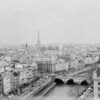 Stunning black and white aerial view of Paris showcasing the Eiffel Tower and historic architecture.