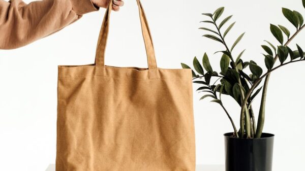Stylish minimalist canvas tote bag held beside a potted green plant.