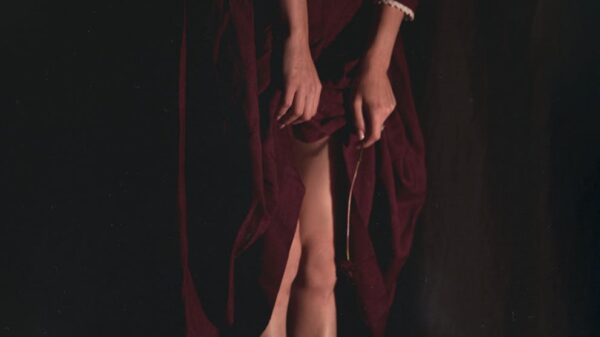 Artistic portrait of a woman in a dark red dress, showcasing elegance and fashion in a studio setting.