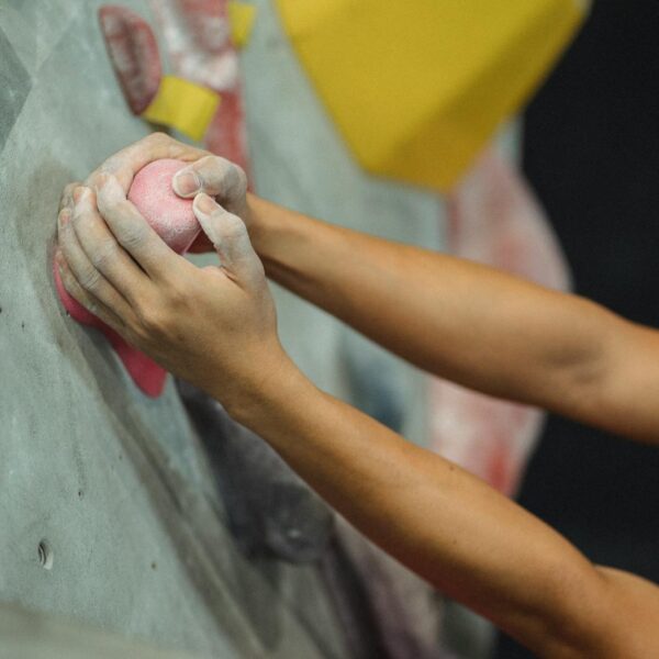 From above of crop male climber putting hands in talcum powder on pink climbing hold during training in gym