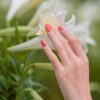 flowers, hand, flower wallpaper, beautiful flowers, nails, beautiful, bloom, blossom, nature, plant, flower background, petals, closeup