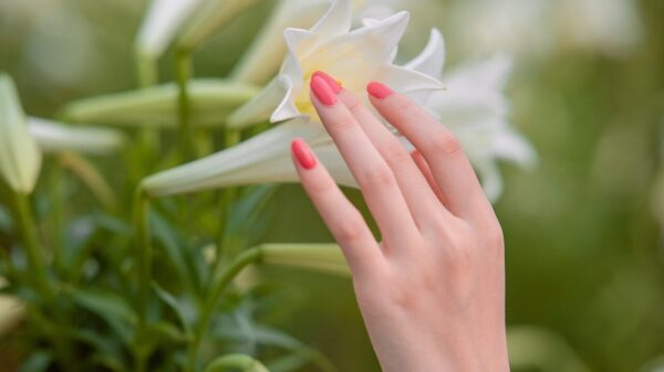 flowers, hand, flower wallpaper, beautiful flowers, nails, beautiful, bloom, blossom, nature, plant, flower background, petals, closeup
