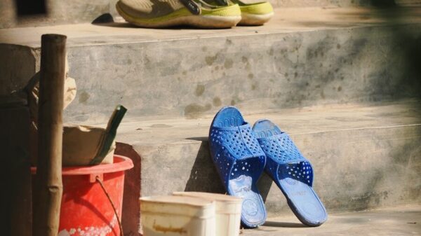 Various shoes and boots on outdoor steps.