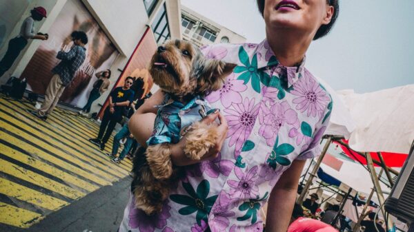 woman walking whiled holding puppy