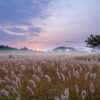 Kako nositi čizme u ranoj jeseni: 4 inspirativne kombinacije