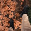 Zara uvodi rastegljive pantalone kao zamenik farmerki ove jeseni